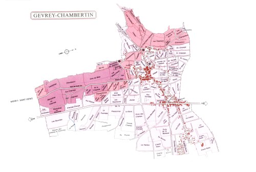 Charmes-Chambertin copy